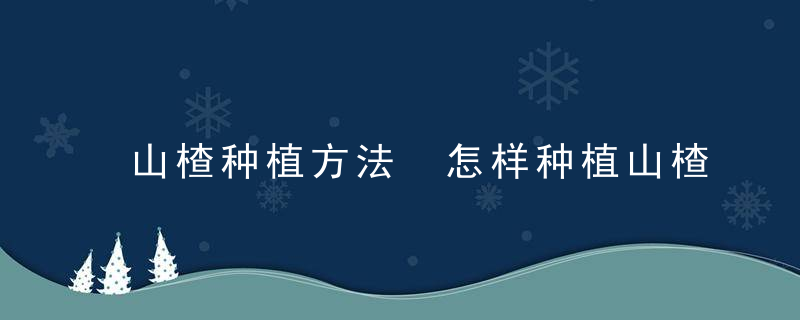 山楂种植方法 怎样种植山楂